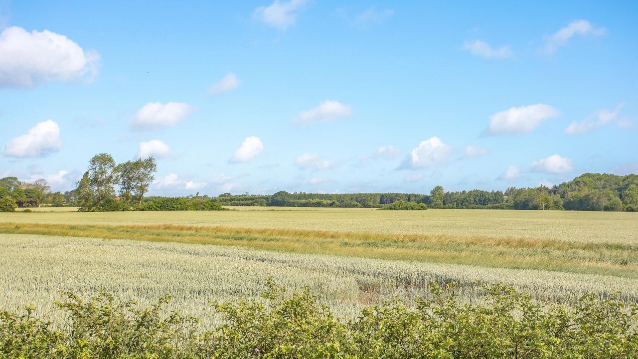 Photo of Bedroom in Odder