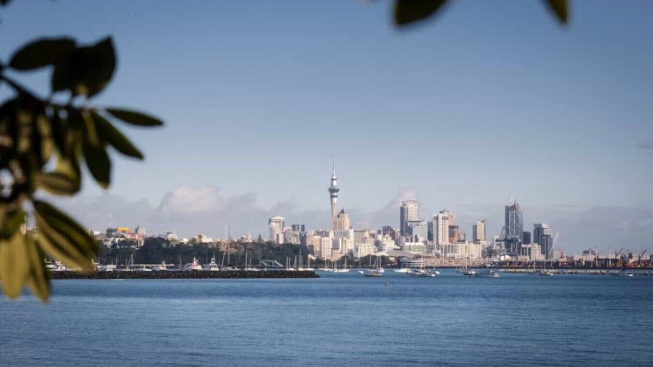 Photo of Others in Mission Bay