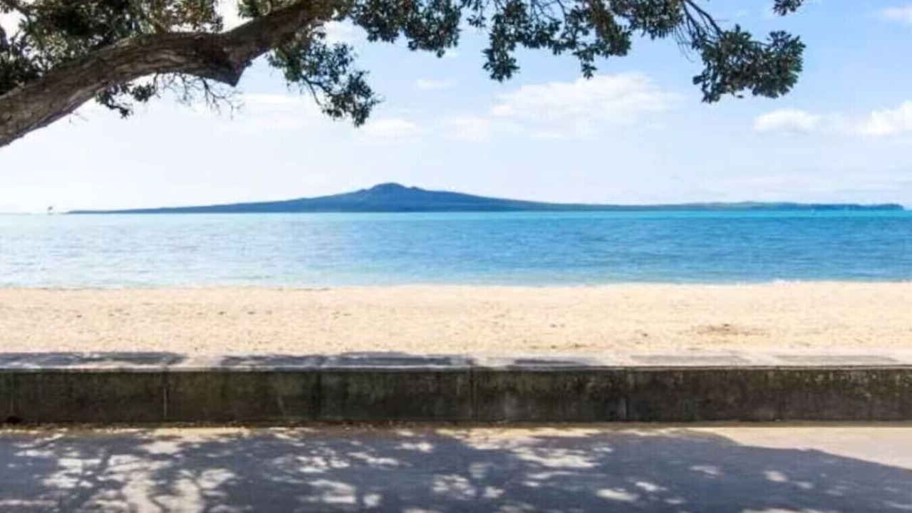 Photo of Others in Mission Bay