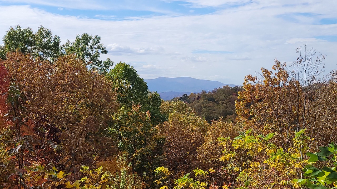 Photo of Outdoor in Gatlinburg