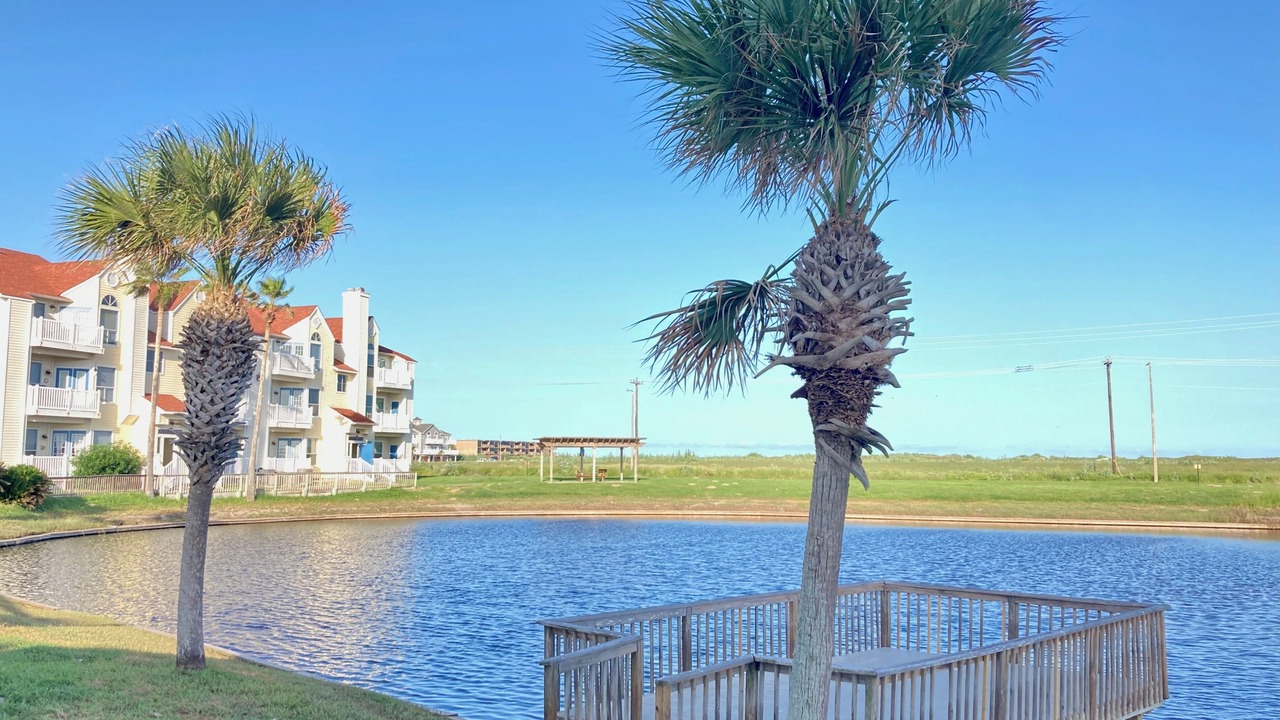 Photo of Outdoor in Corpus Christi