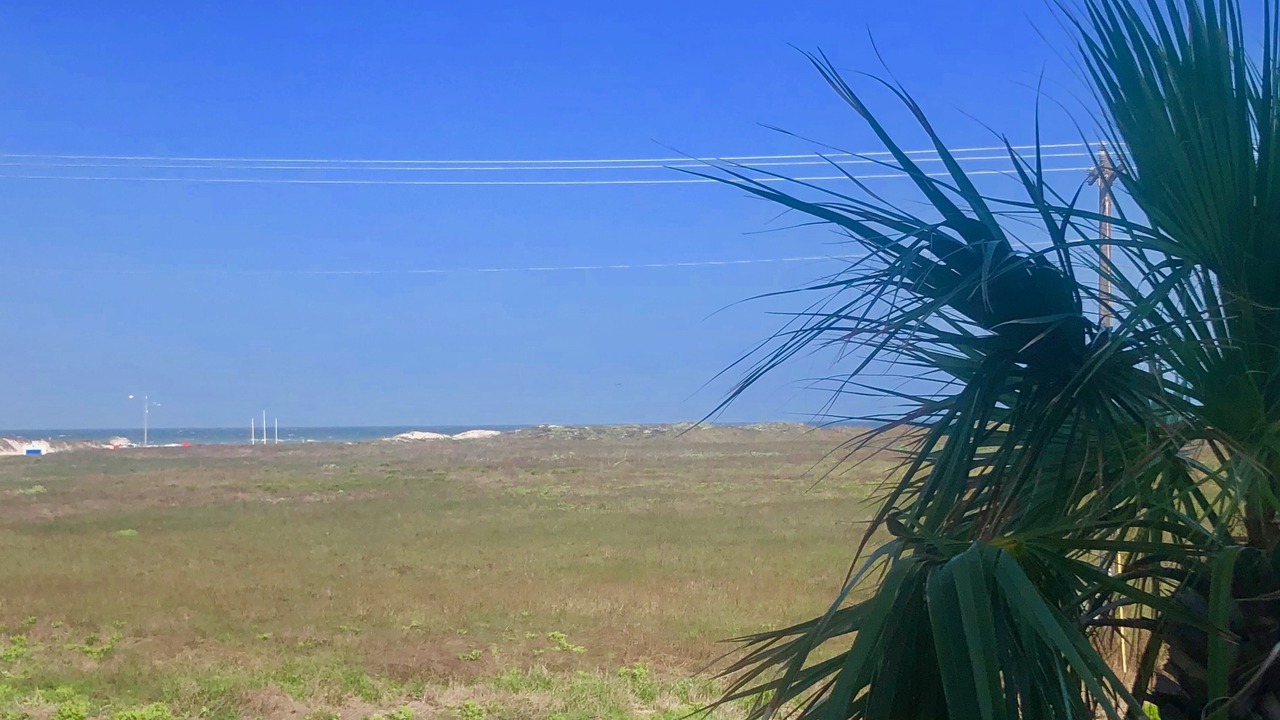 Photo of Others in Corpus Christi