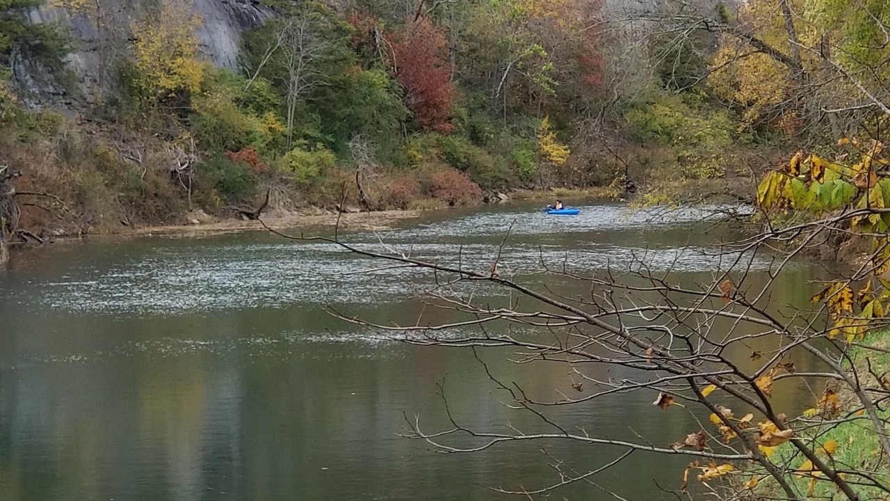 Photo of Others in Nixa