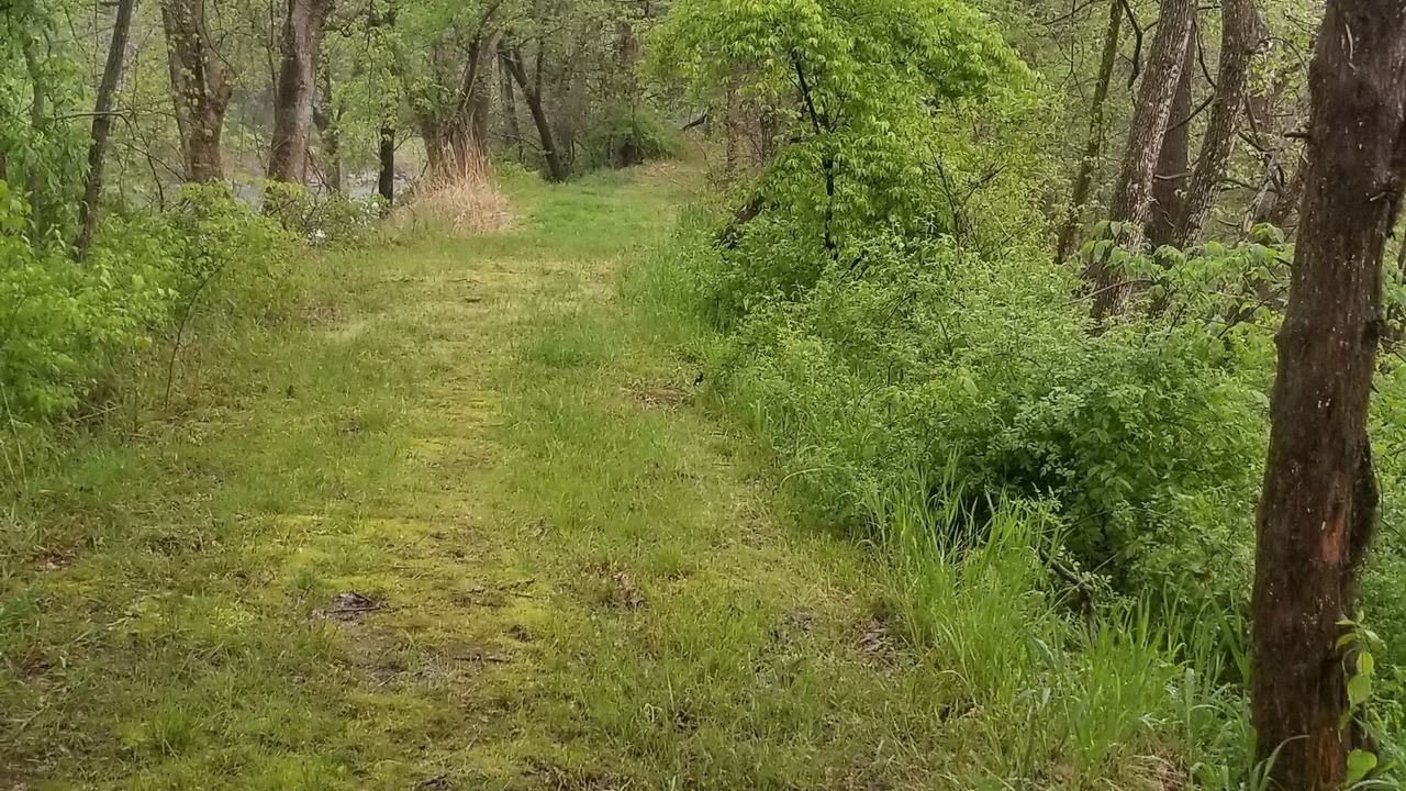 Photo of Outdoor in Nixa