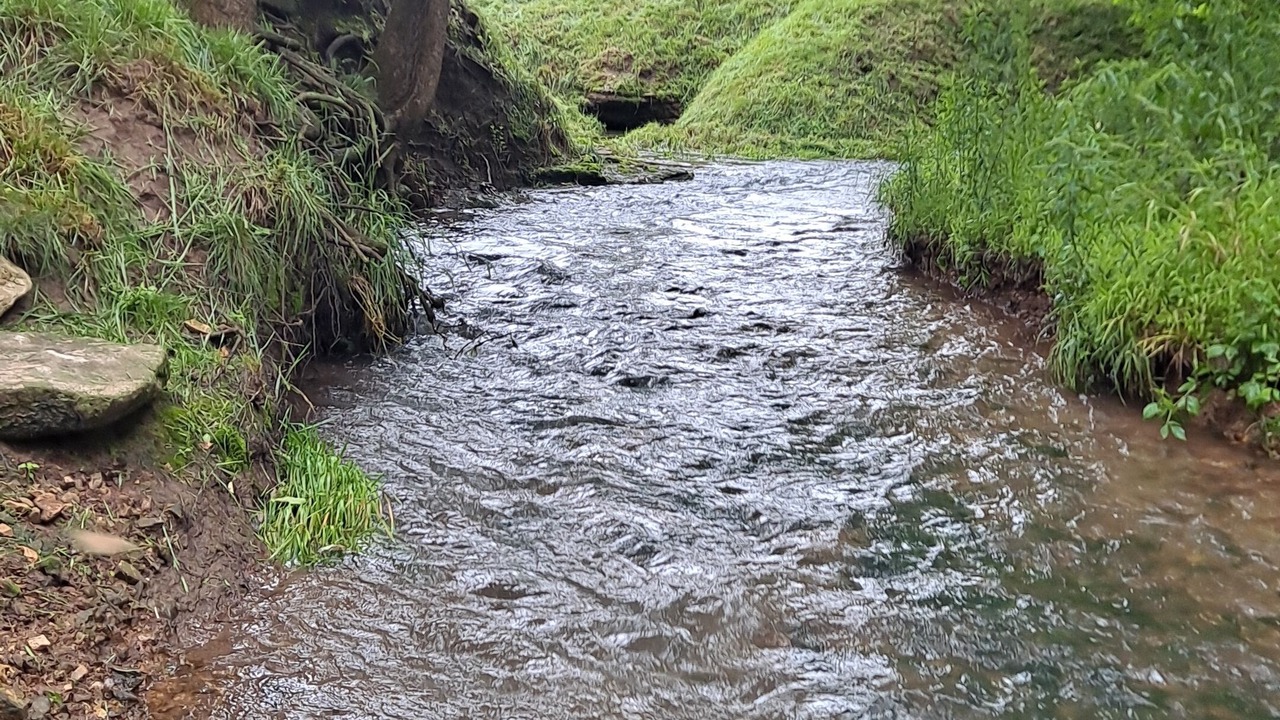 Photo of Outdoor in Nixa