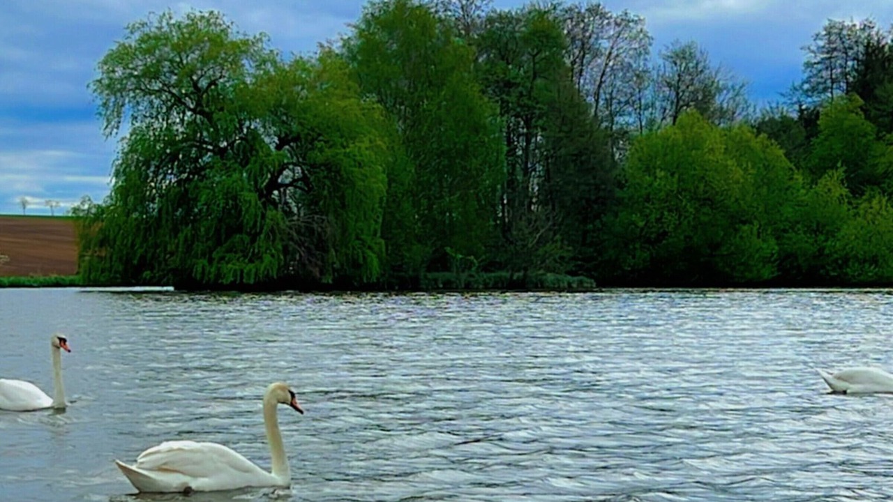 Photo of Others in Reherrey