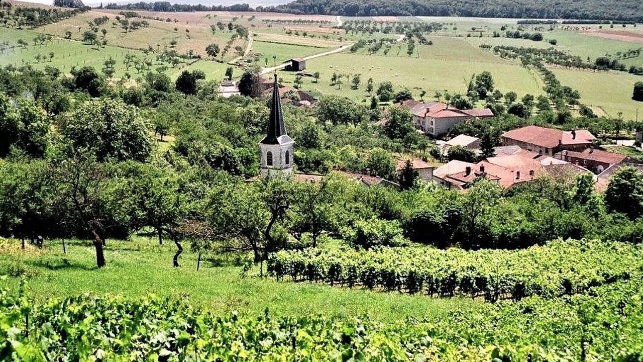 Photo of Outdoor in Pulney