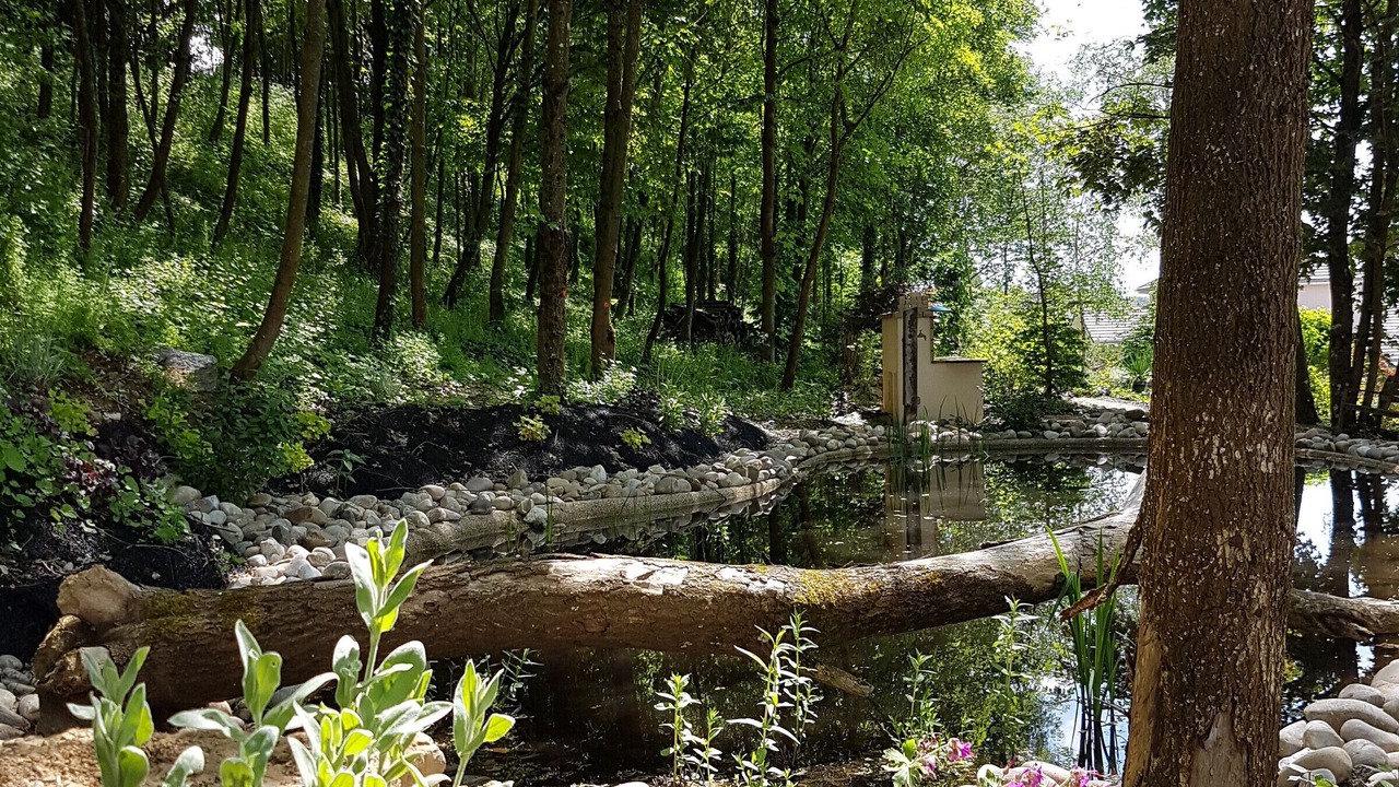 Photo of Outdoor in Voinemont