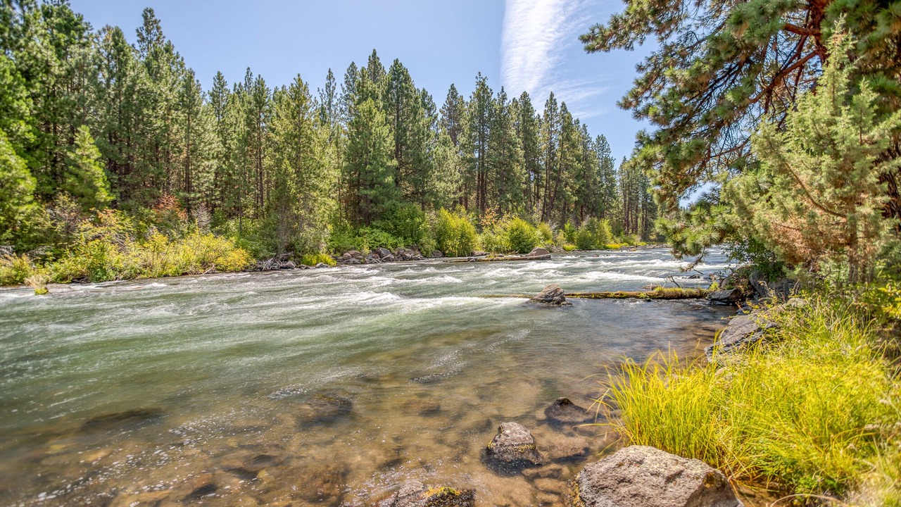 Photo of Others in Century West