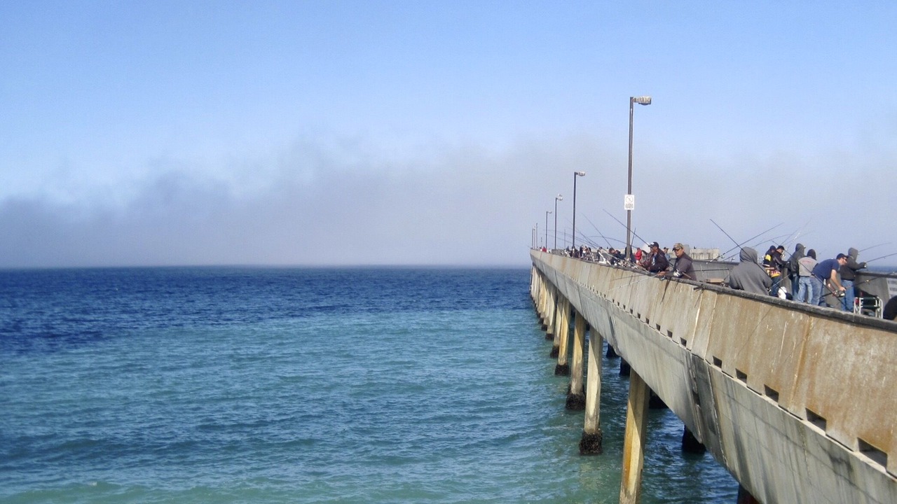Photo of Others in Sharp Park