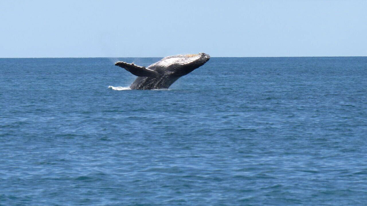 Photo of Others in Sharp Park