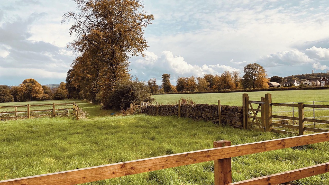 Photo of Others in Leek