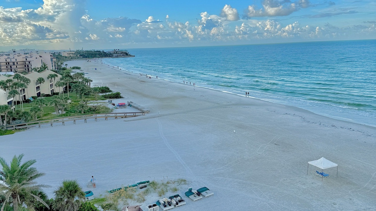 Photo of Others in Siesta Key