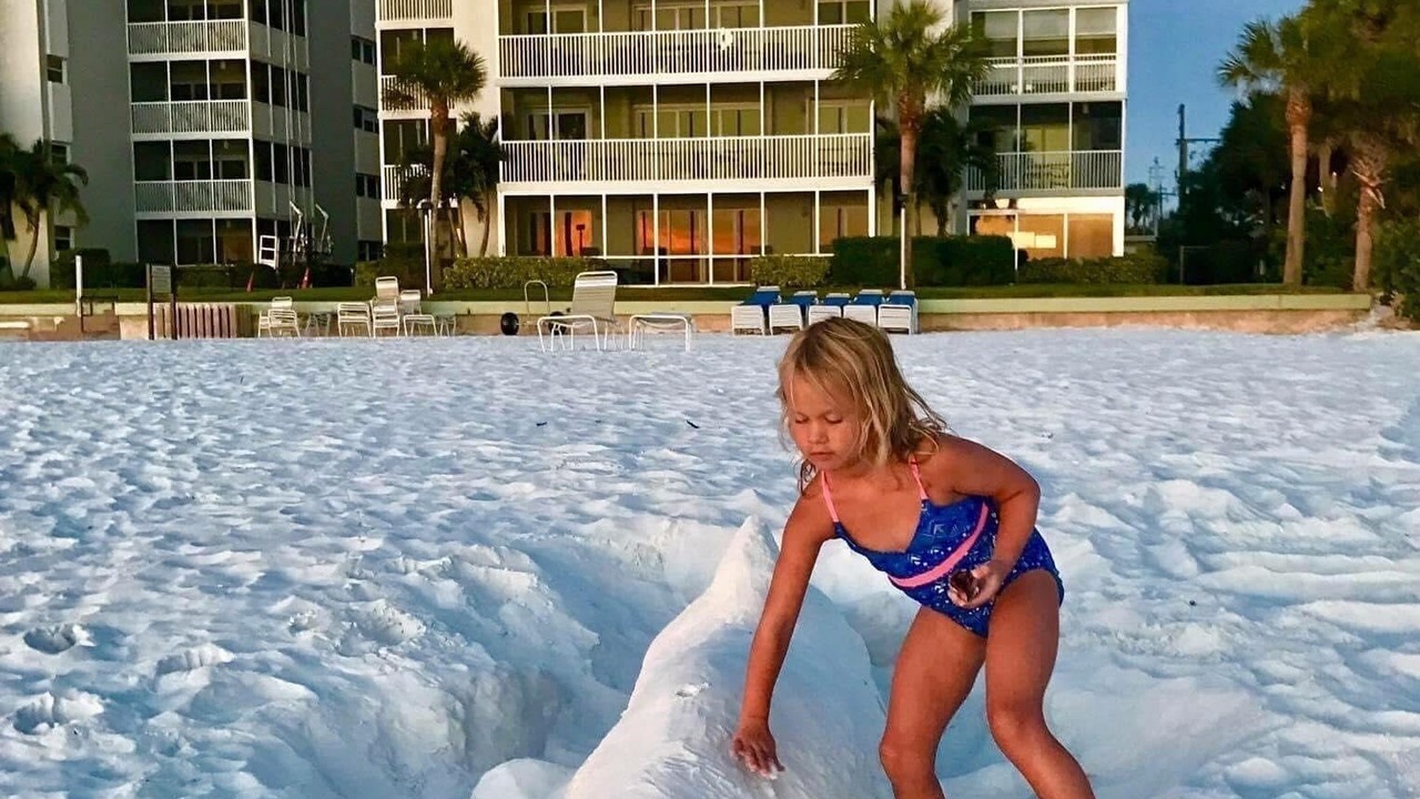 Photo of Others in Siesta Key