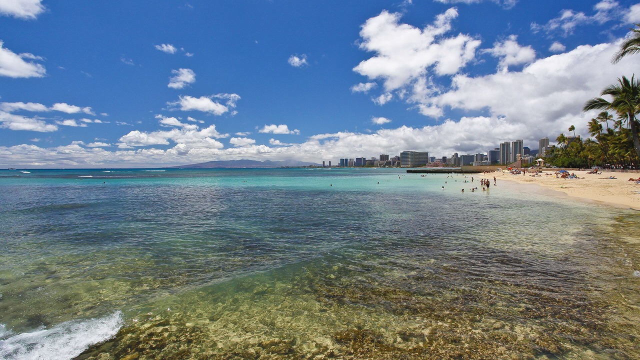 Photo of Others in Diamond Head - Kapahulu - St. Louis