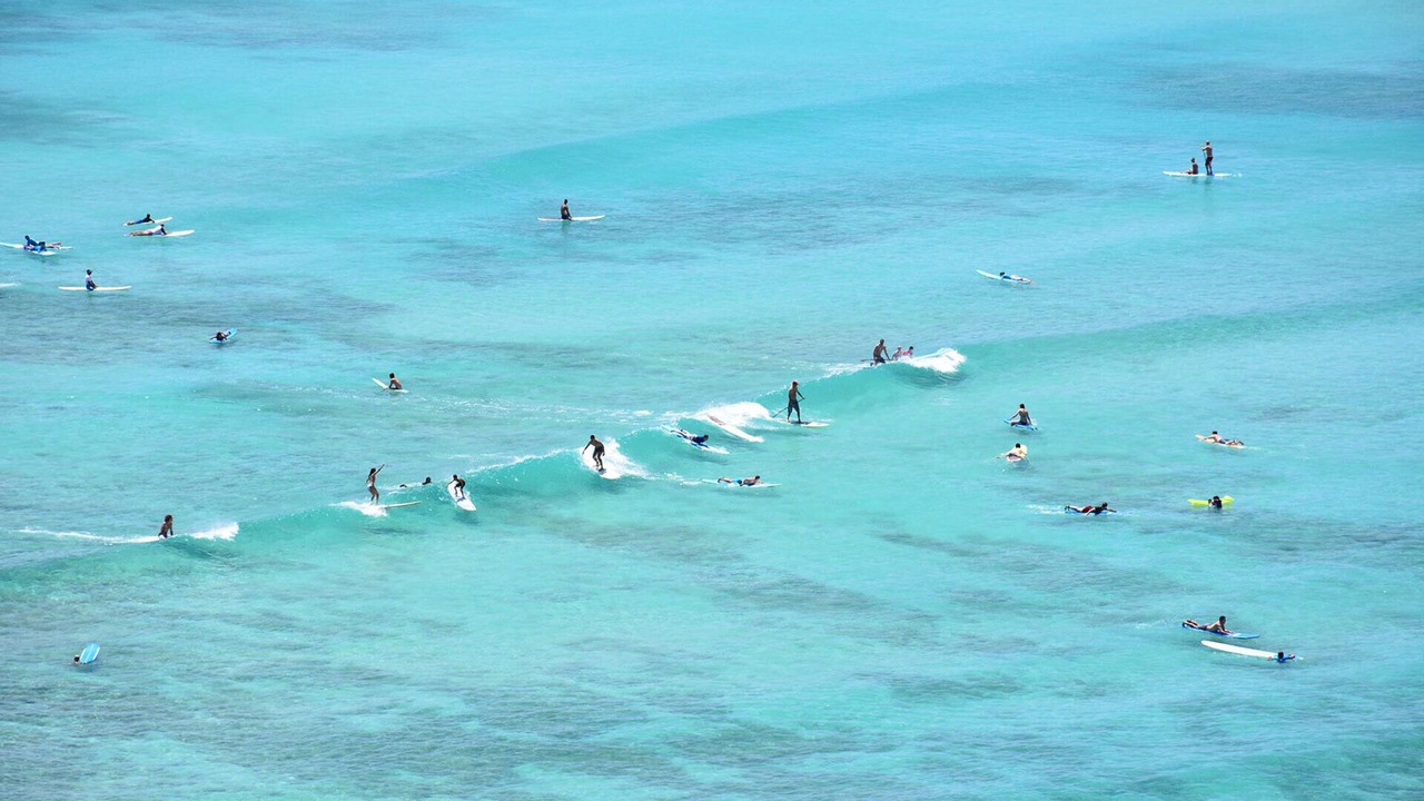 Photo of Others in Diamond Head - Kapahulu - St. Louis