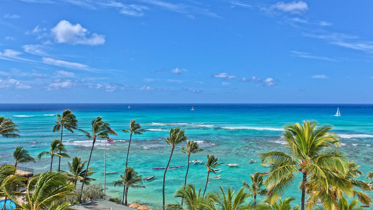 Photo of Others in Diamond Head - Kapahulu - St. Louis