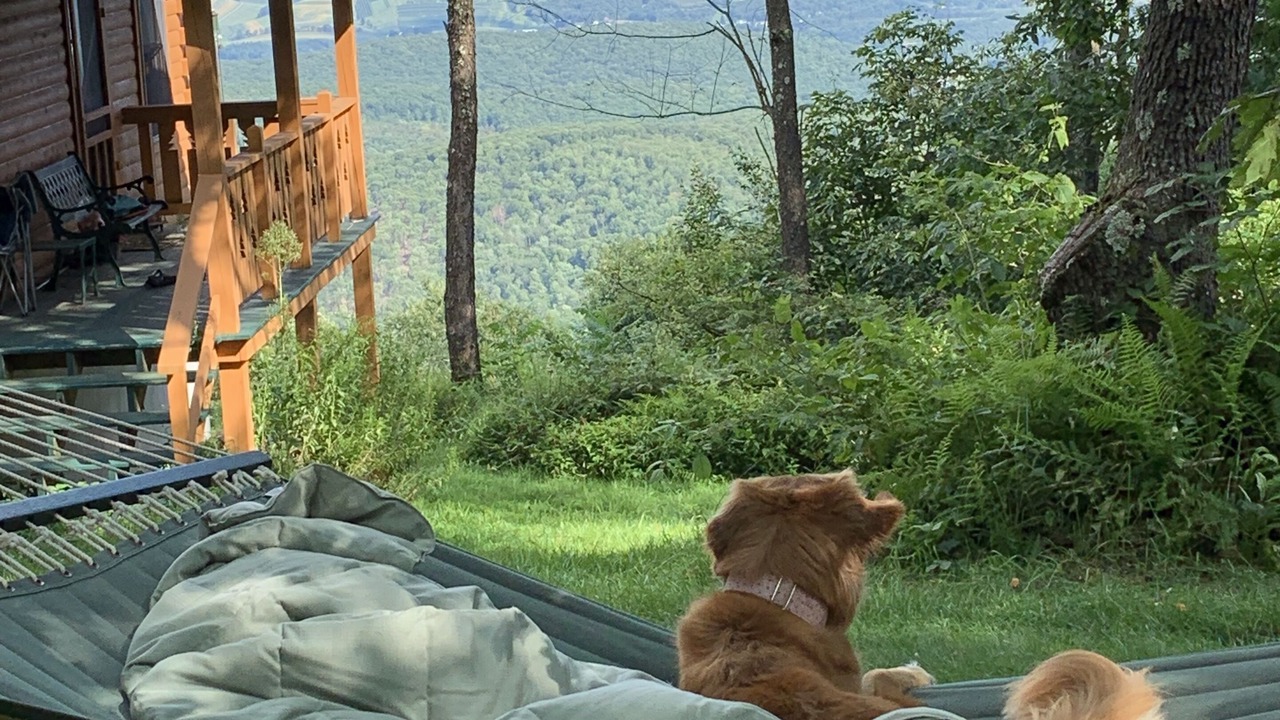 Photo of Outdoor in Cairnbrook