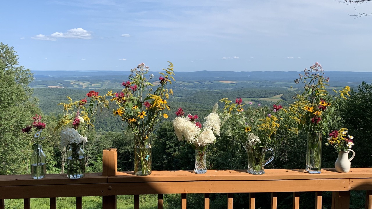 Photo of Outdoor in Cairnbrook