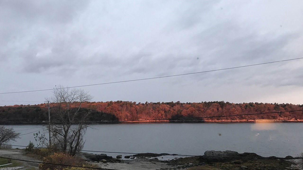 Photo of Others in Peaks Island