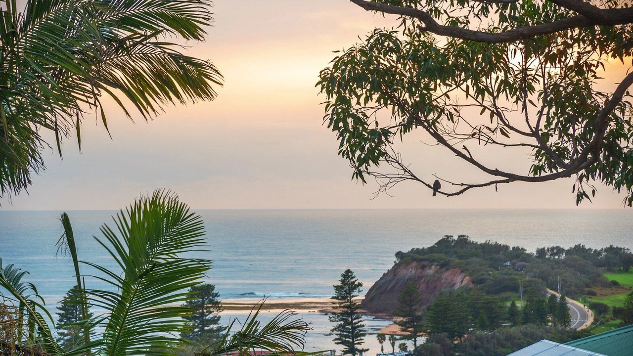 Photo of Others in Collaroy