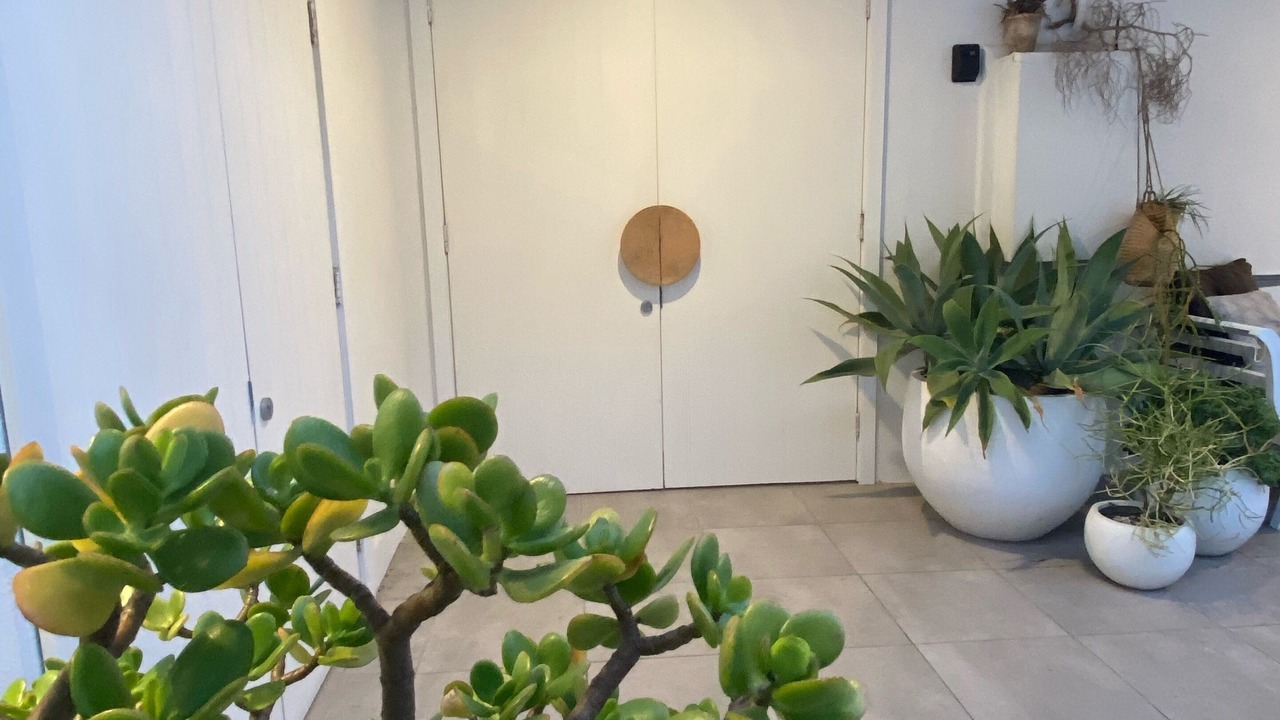 Photo of Others in Collaroy