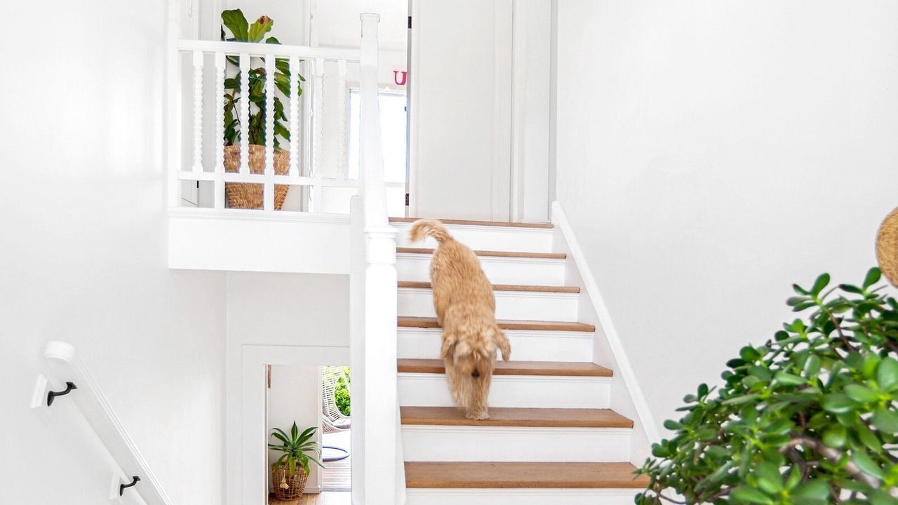 Photo of Others in Collaroy