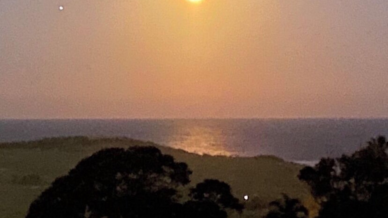 Photo of Others in Collaroy