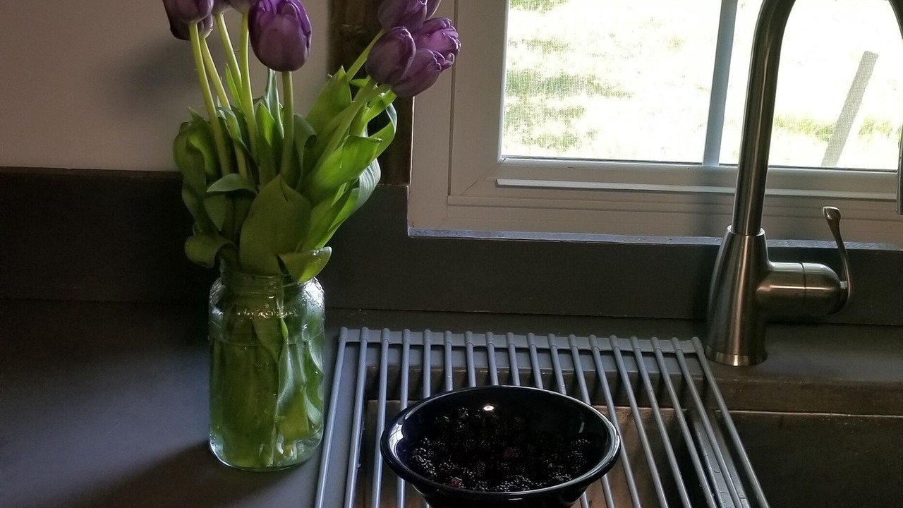 Photo of Kitchen in Brownsville