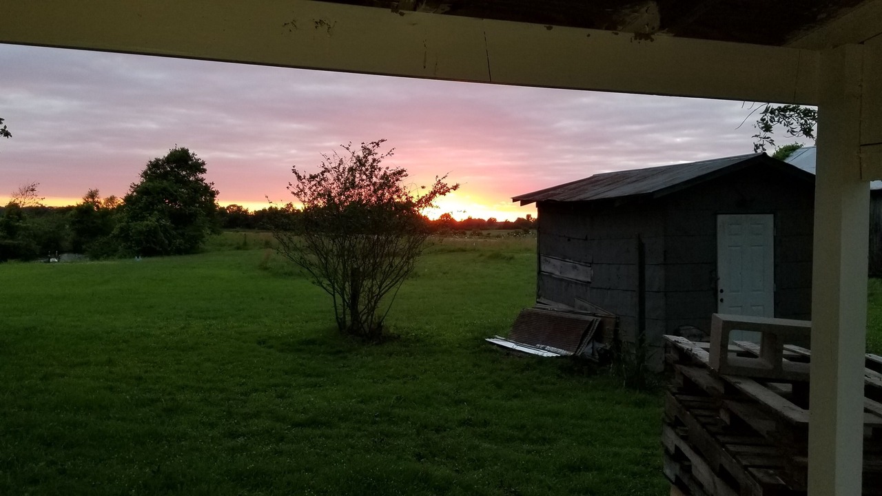 Photo of Outdoor in Brownsville