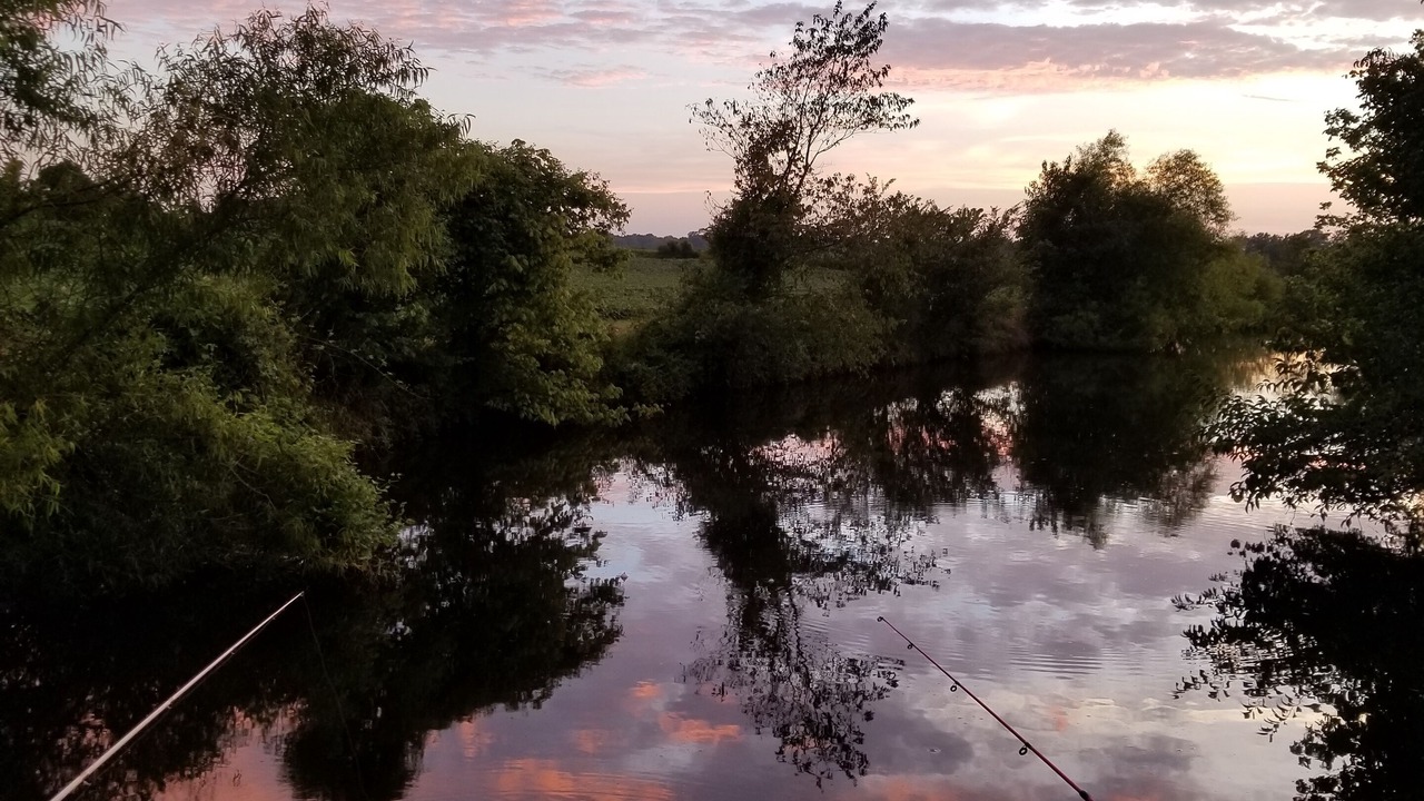 Photo of Outdoor in Brownsville