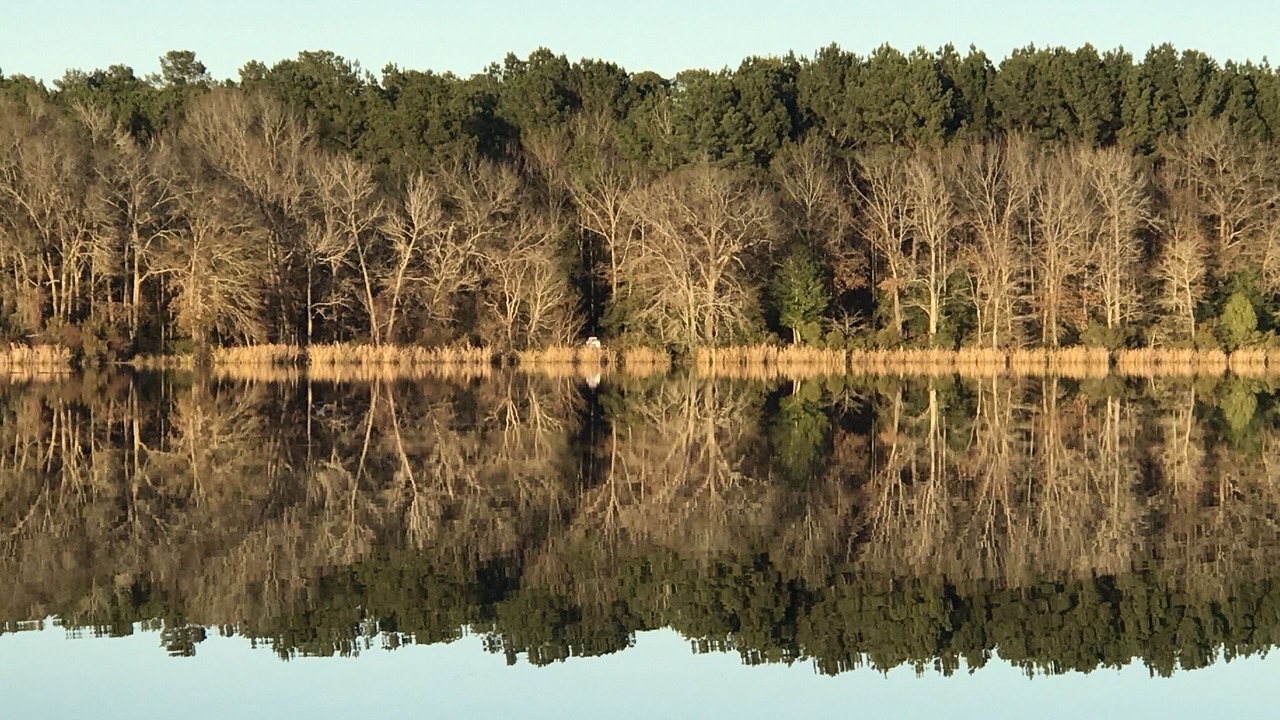 Photo of Outdoor in Grapeland