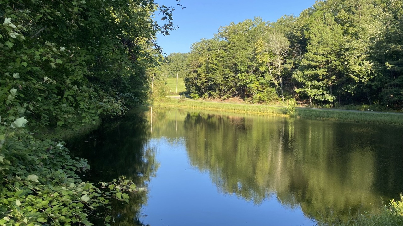 Photo of Others in Cleveland