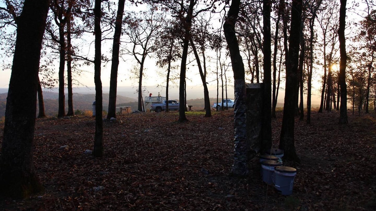Photo of Outdoor in Jones Mills