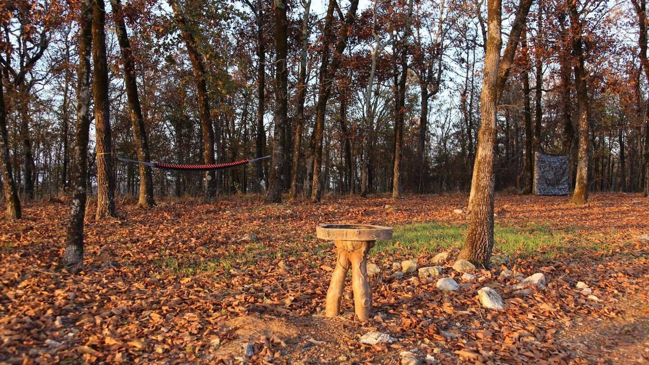 Photo of Outdoor in Jones Mills