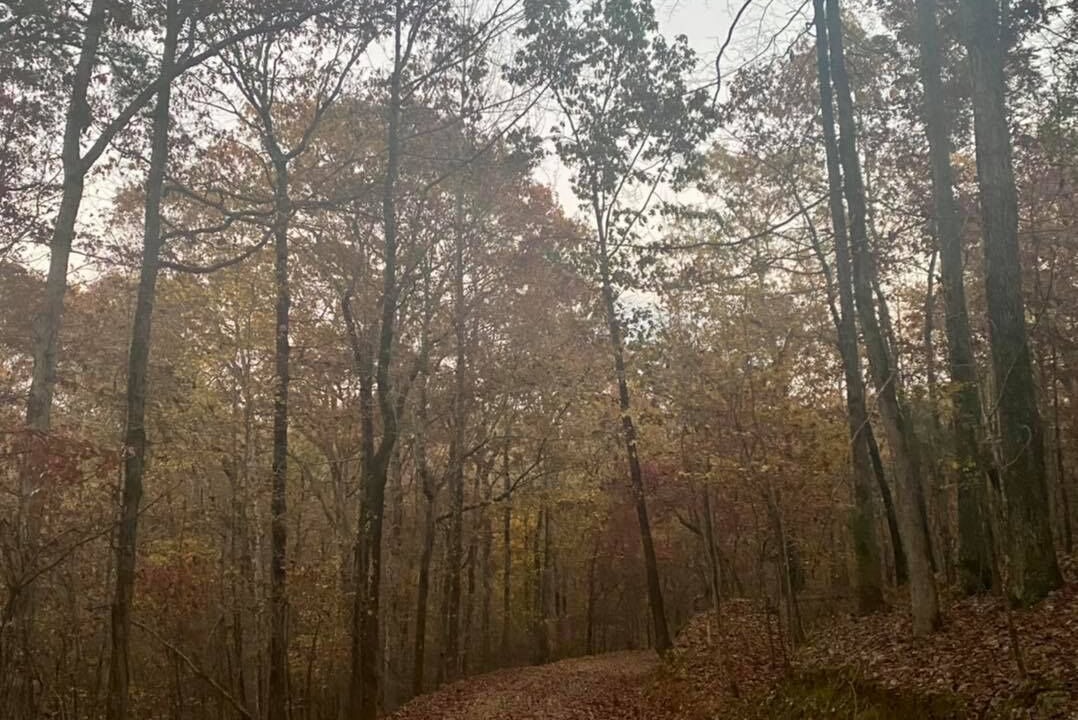 Photo of Outdoor in Jones Mills