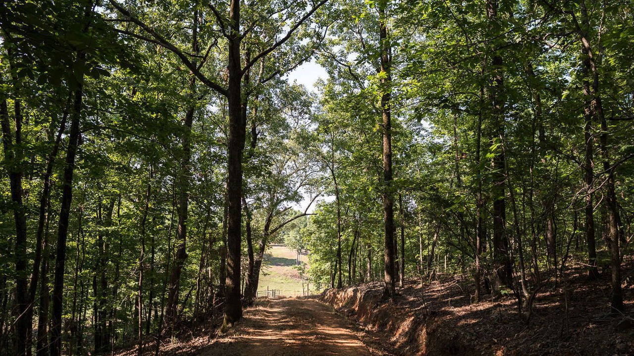 Photo of Outdoor in Jones Mills
