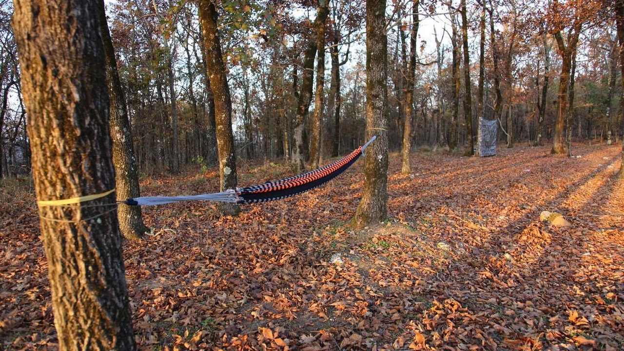 Photo of Outdoor in Jones Mills