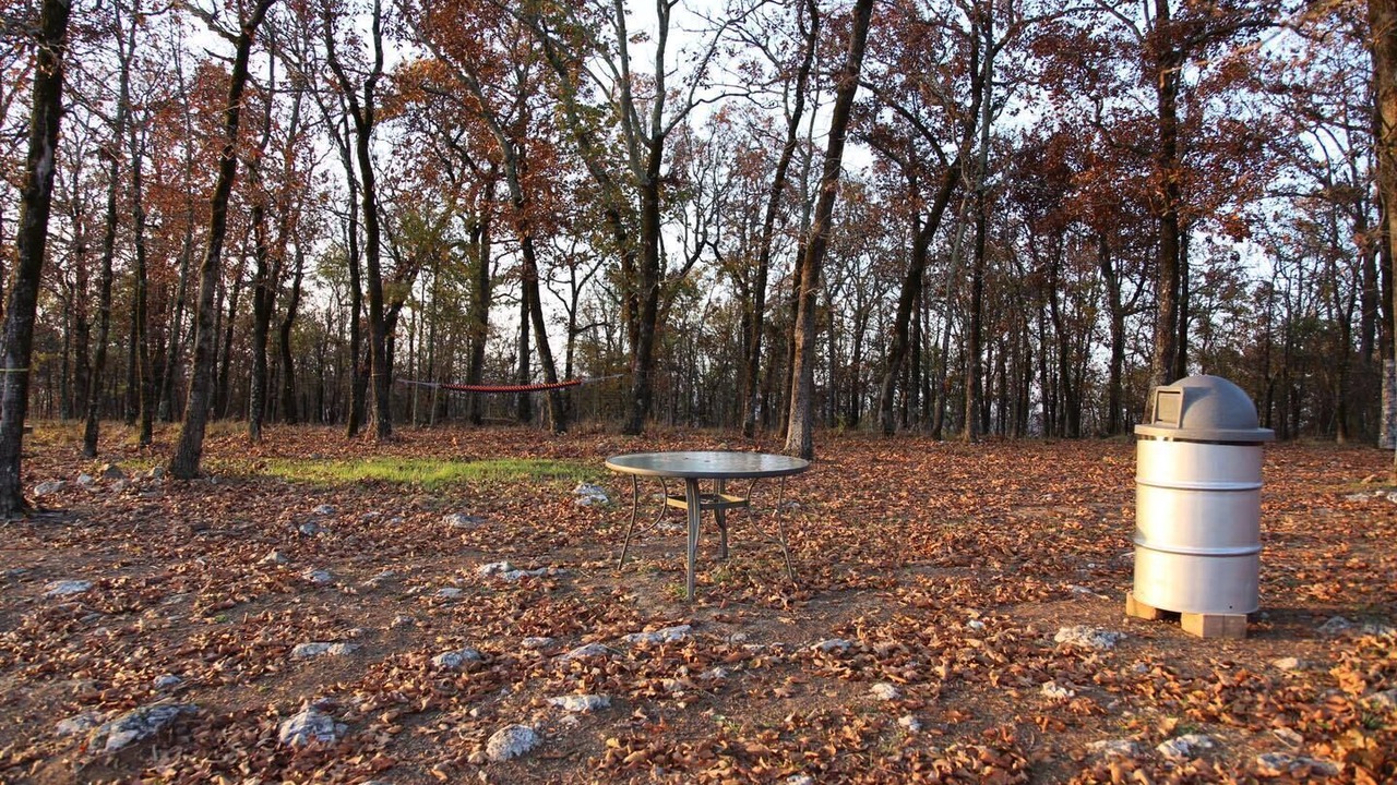 Photo of Outdoor in Jones Mills