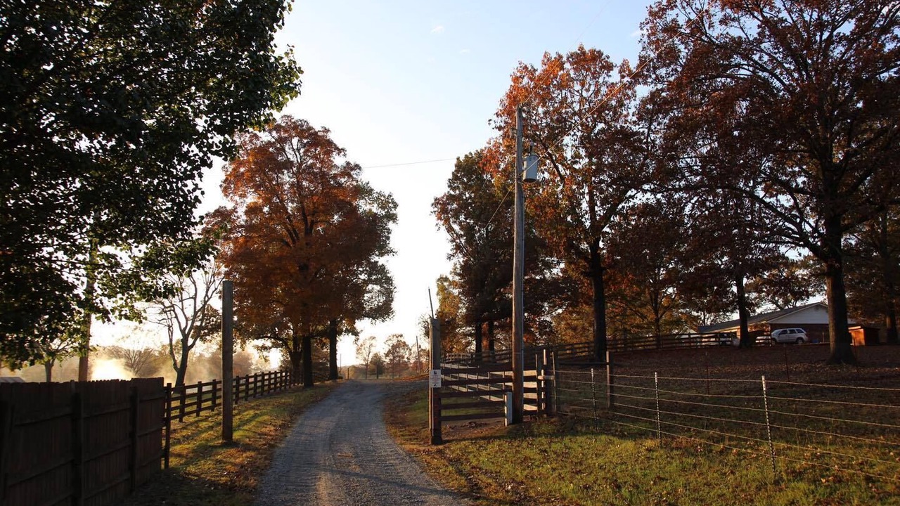 Photo of Outdoor in Jones Mills