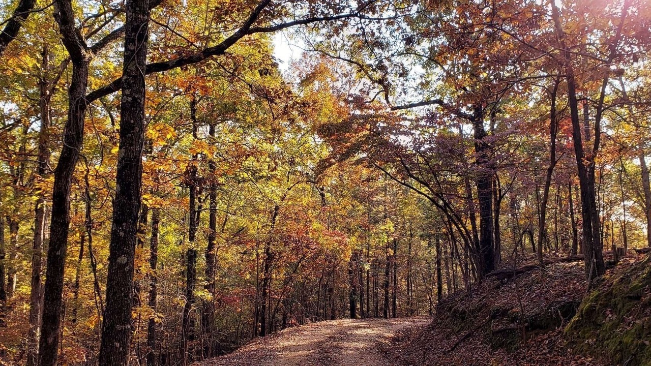 Photo of Outdoor in Jones Mills