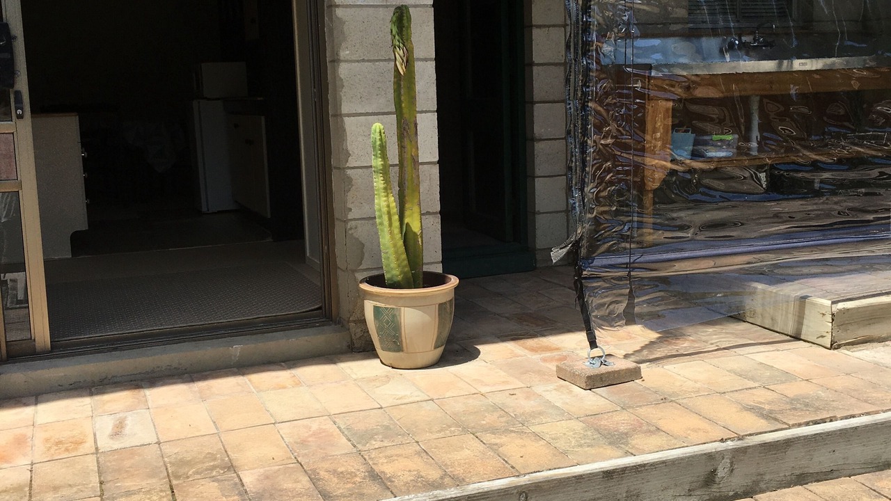 Photo of Outdoor in Gisborne