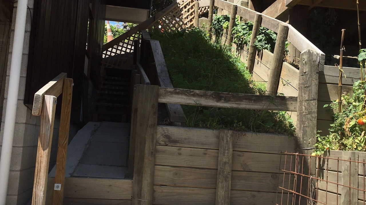 Photo of Outdoor in Gisborne