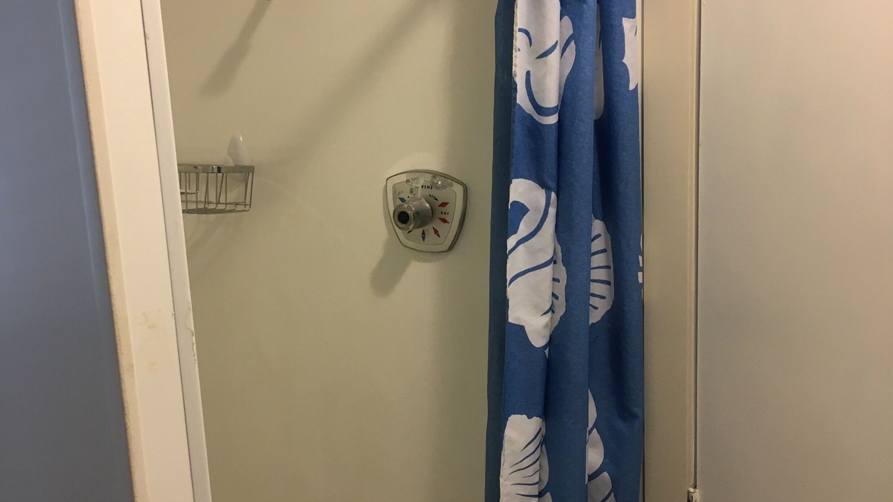 Photo of Others in Gisborne