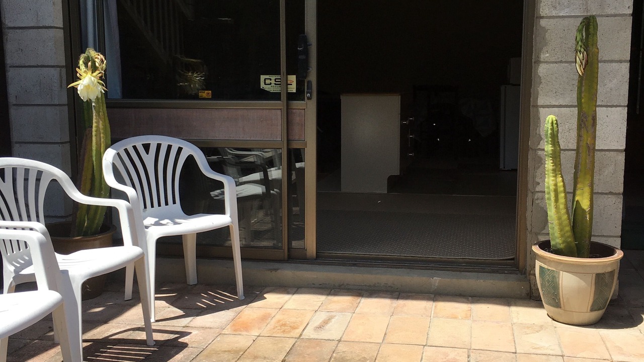 Photo of Outdoor in Gisborne