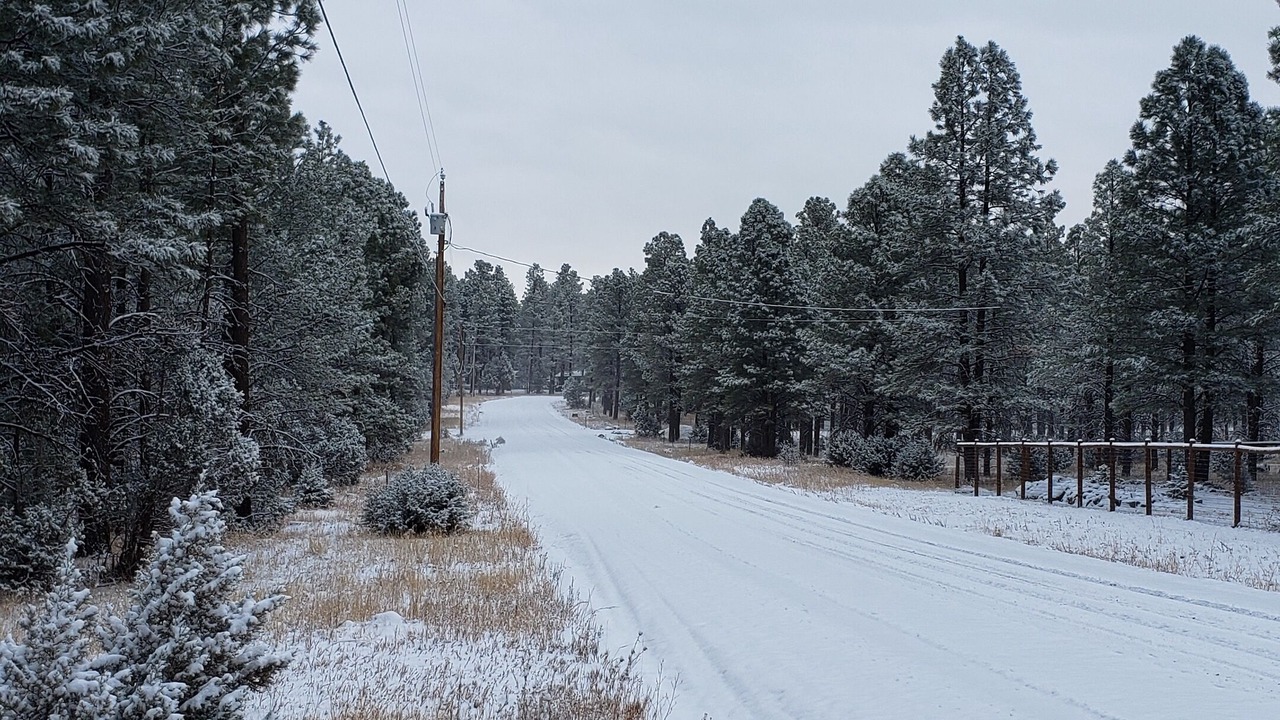 Photo of Others in Mountain Pine Estates