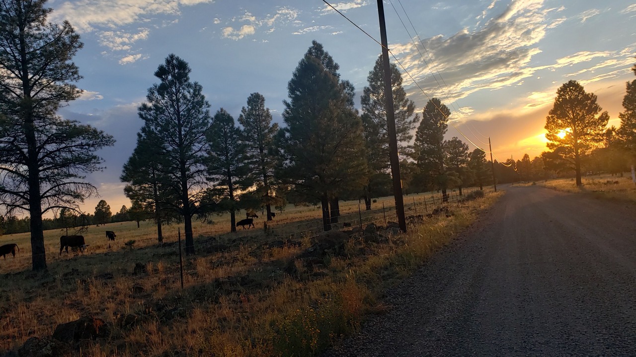 Photo of Others in Mountain Pine Estates