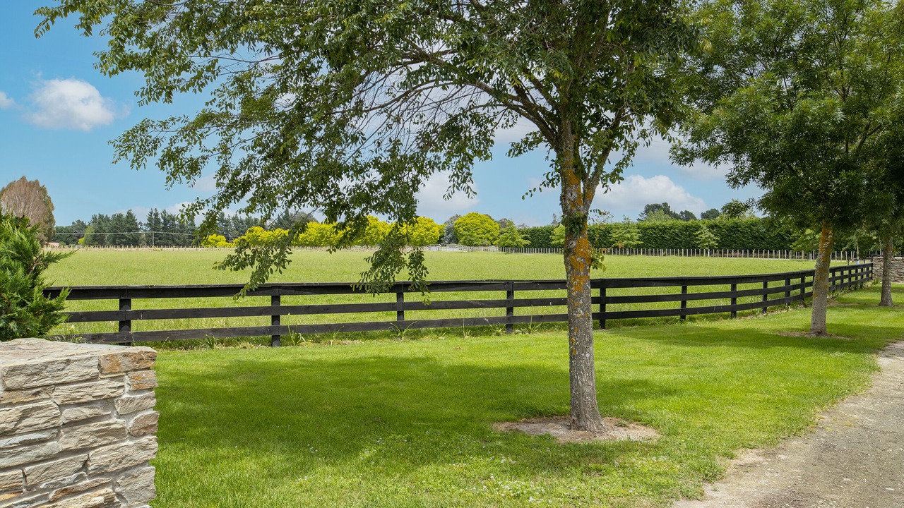 Photo of Outdoor in Masterton