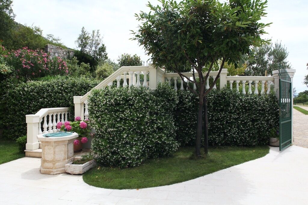 Photo of Outdoor in Bribir