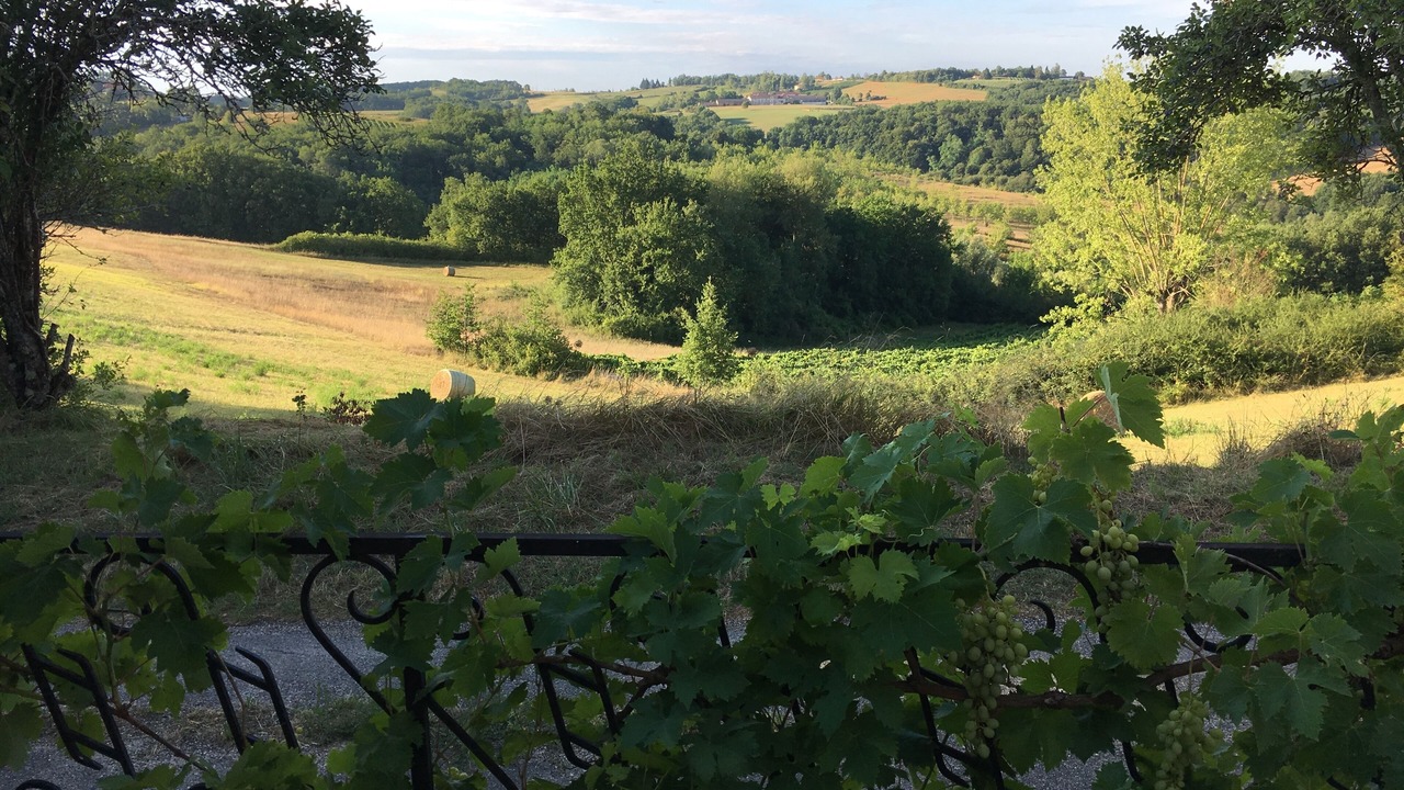 Photo of Outdoor in Cazes-Mondenard